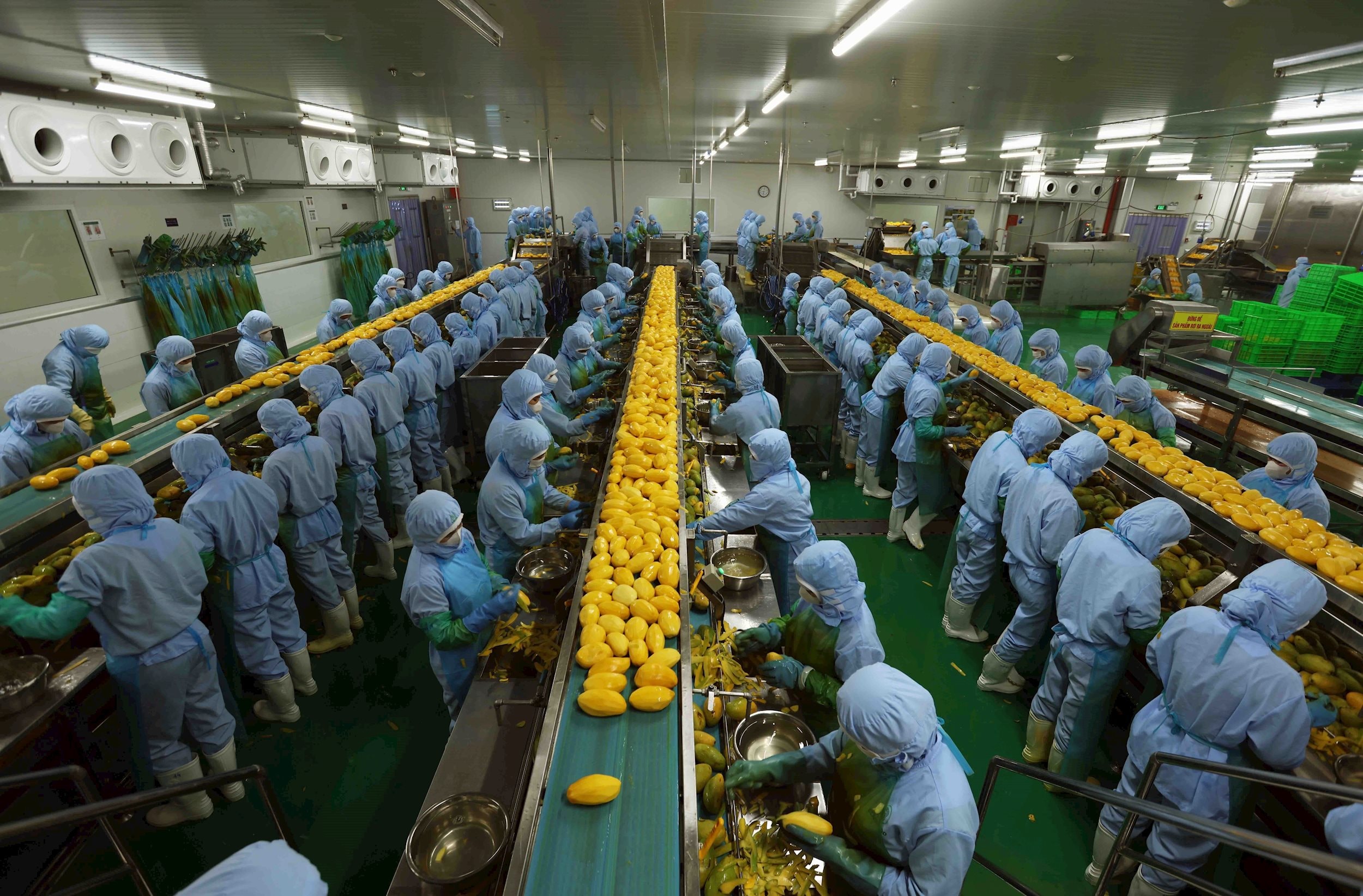vna_potal_10_su_kien_noi_bat_cua_viet_nam_nam_2024_do_ttxvn_binh_chon-su_kien_5_tang_truong_gdp_dat_hon_7_7774182.jpg