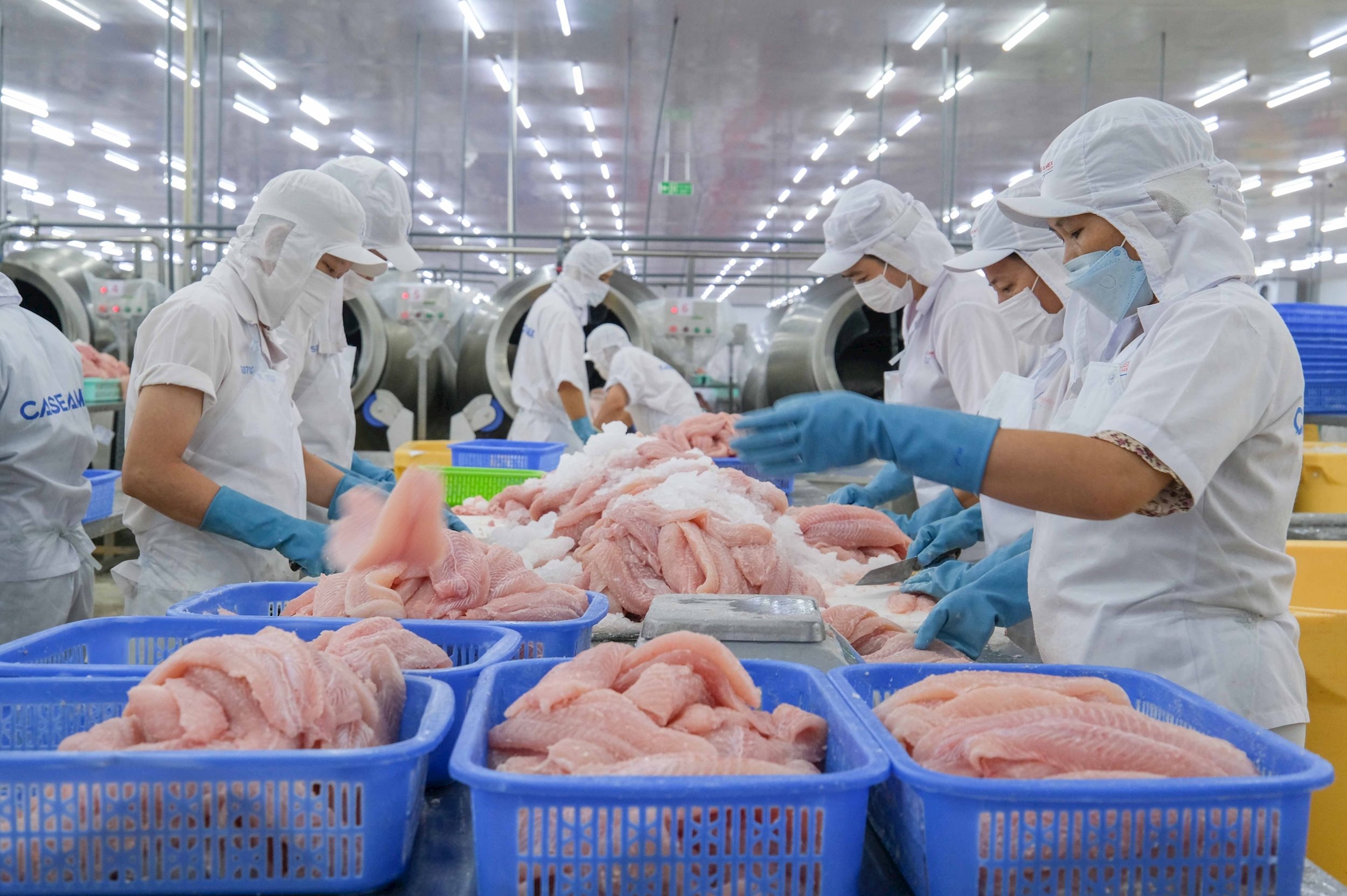 vna_potal_10_su_kien_noi_bat_cua_viet_nam_nam_2024_do_ttxvn_binh_chon-su_kien_5_tang_truong_gdp_dat_hon_7_7774187.jpg
