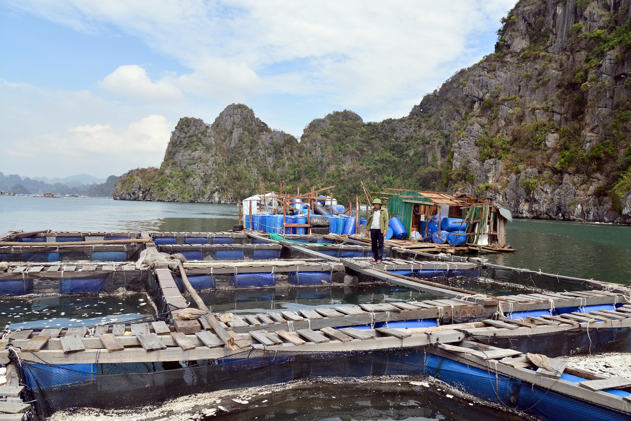 ong-dang-van-vinh-51-tuoi-ngu-dan-phuong-cam-thuy-thanh-pho-cam-pha-thiet-hai-hon-6-ti-dong-dau-xot-khi-nhin-be-ca-song-dia-bi-bao-danh-vo-ca-bi-chet-va-troi-ra-bien.-anh-thanh-van-ttxvn.jpg