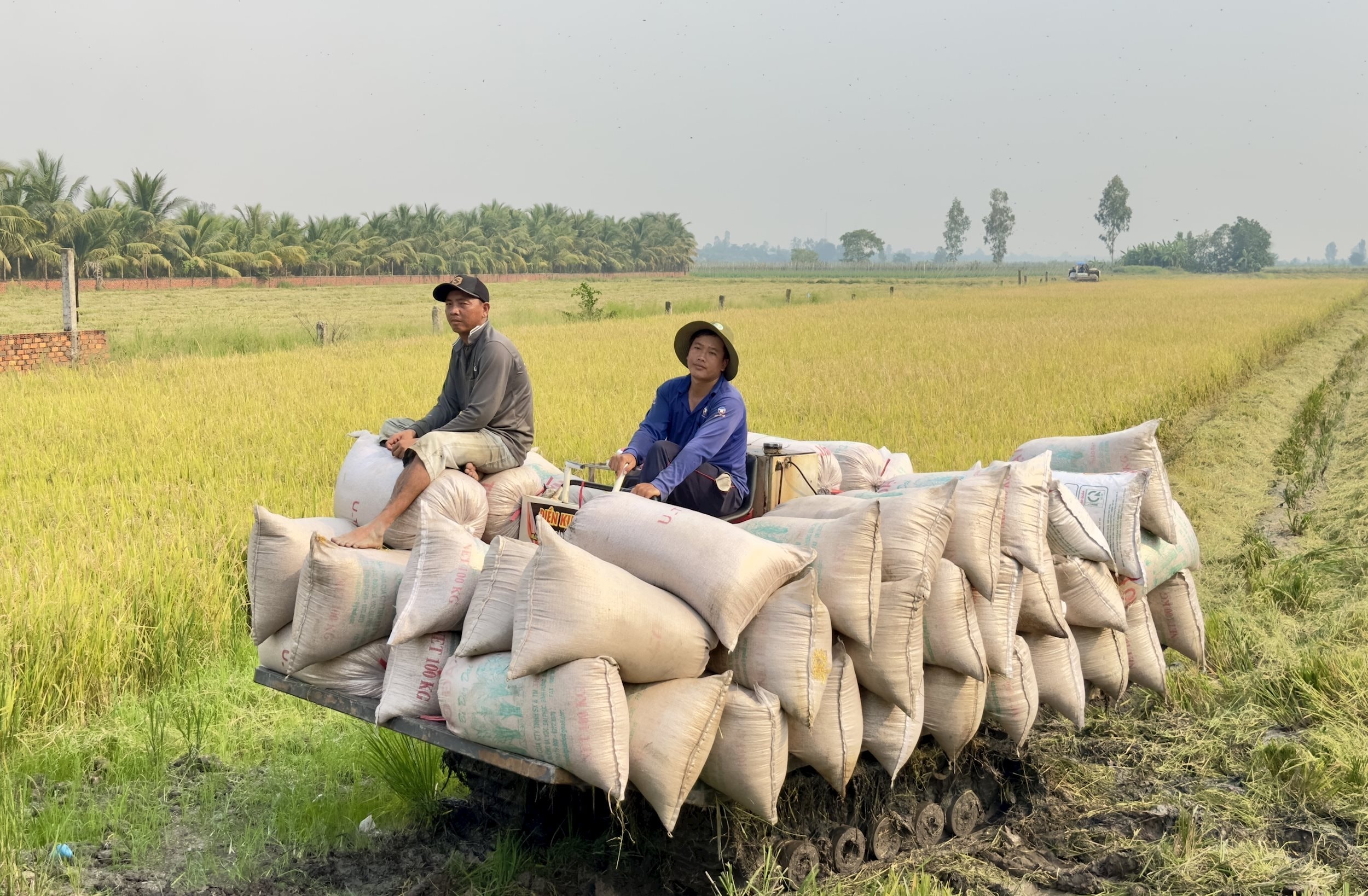 vna_potal_nong_nghiep_du_lich_bien_mau_dong_luc_tang_truong_kinh_te_an_giang_7742604.jpeg