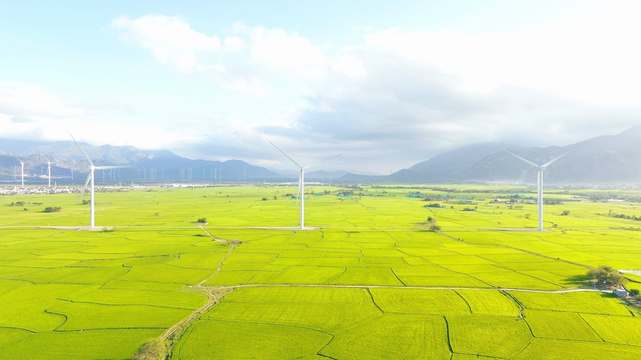 vna_potal_kham_pha_canh_dong_dien_gio_dam_nai_ninh_thuan_7908280.jpg