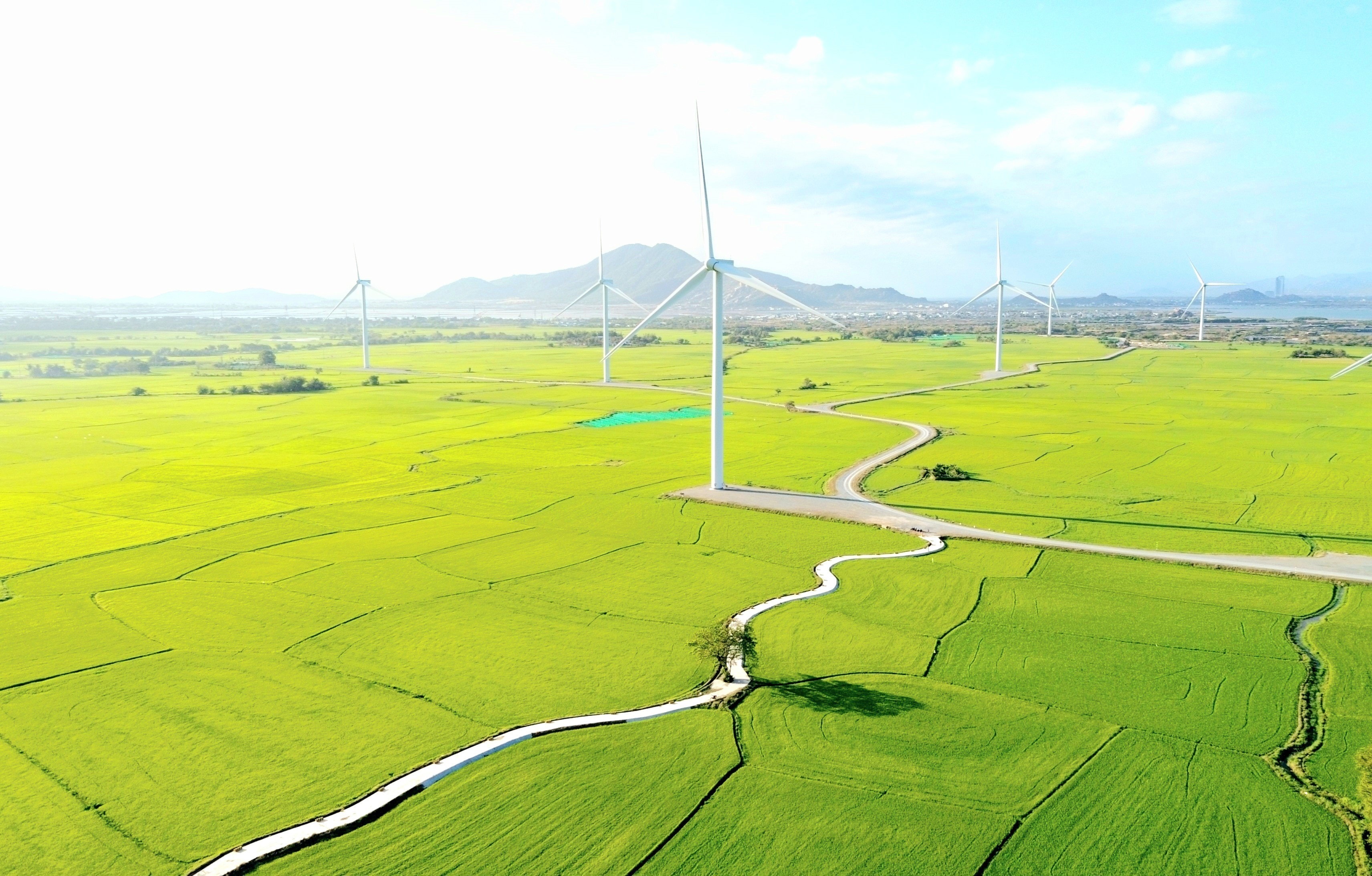 vna_potal_kham_pha_canh_dong_dien_gio_dam_nai_ninh_thuan_7908281.jpg