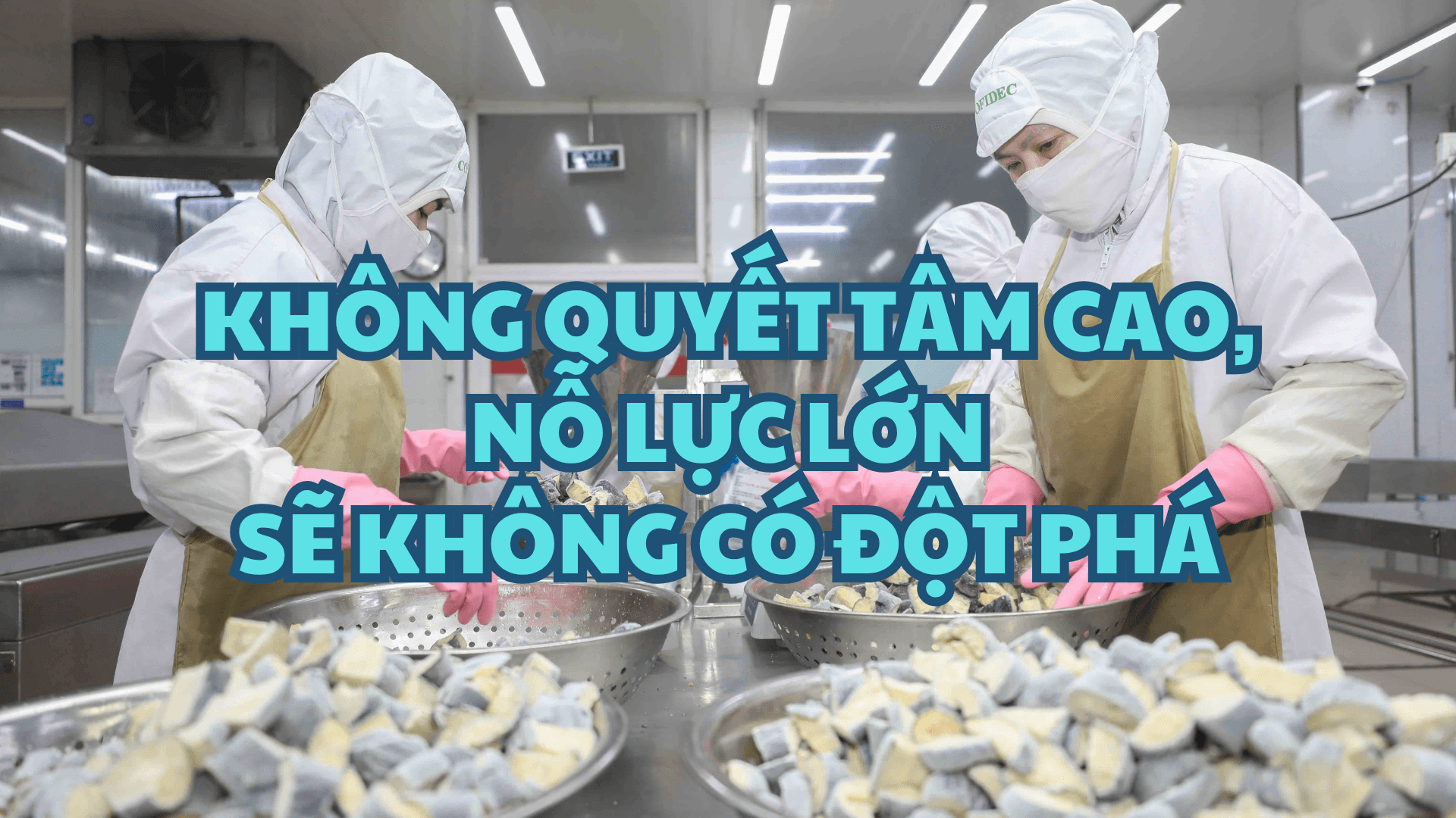 bia-longform-khong-quyet-tam-cao.png