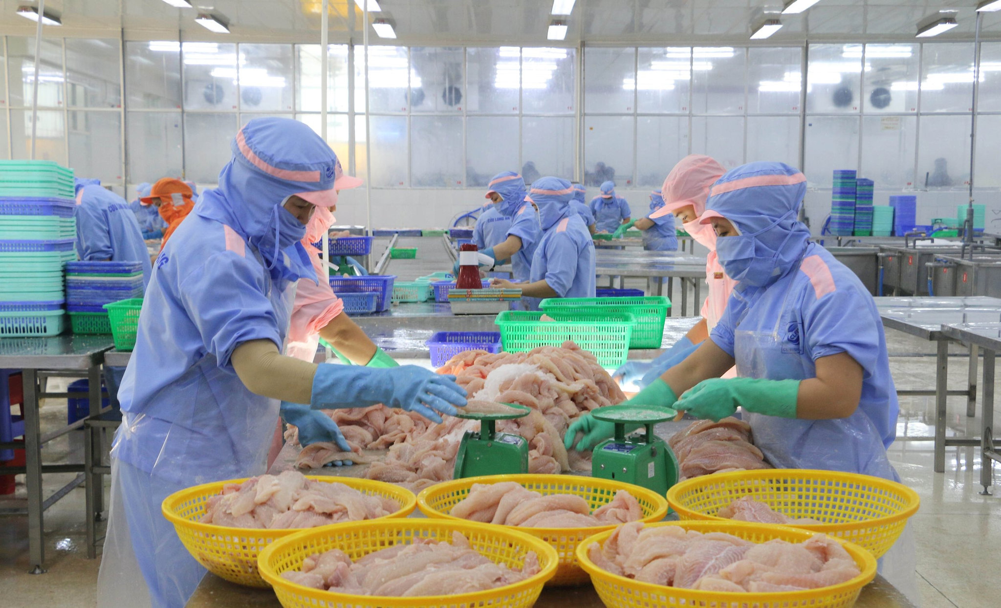 vna_potal_an_giang_kim_ngach_xuat_khau_5_thang_dau_nam_2026_dat_hon_1_ty_usd_8826061.jpg