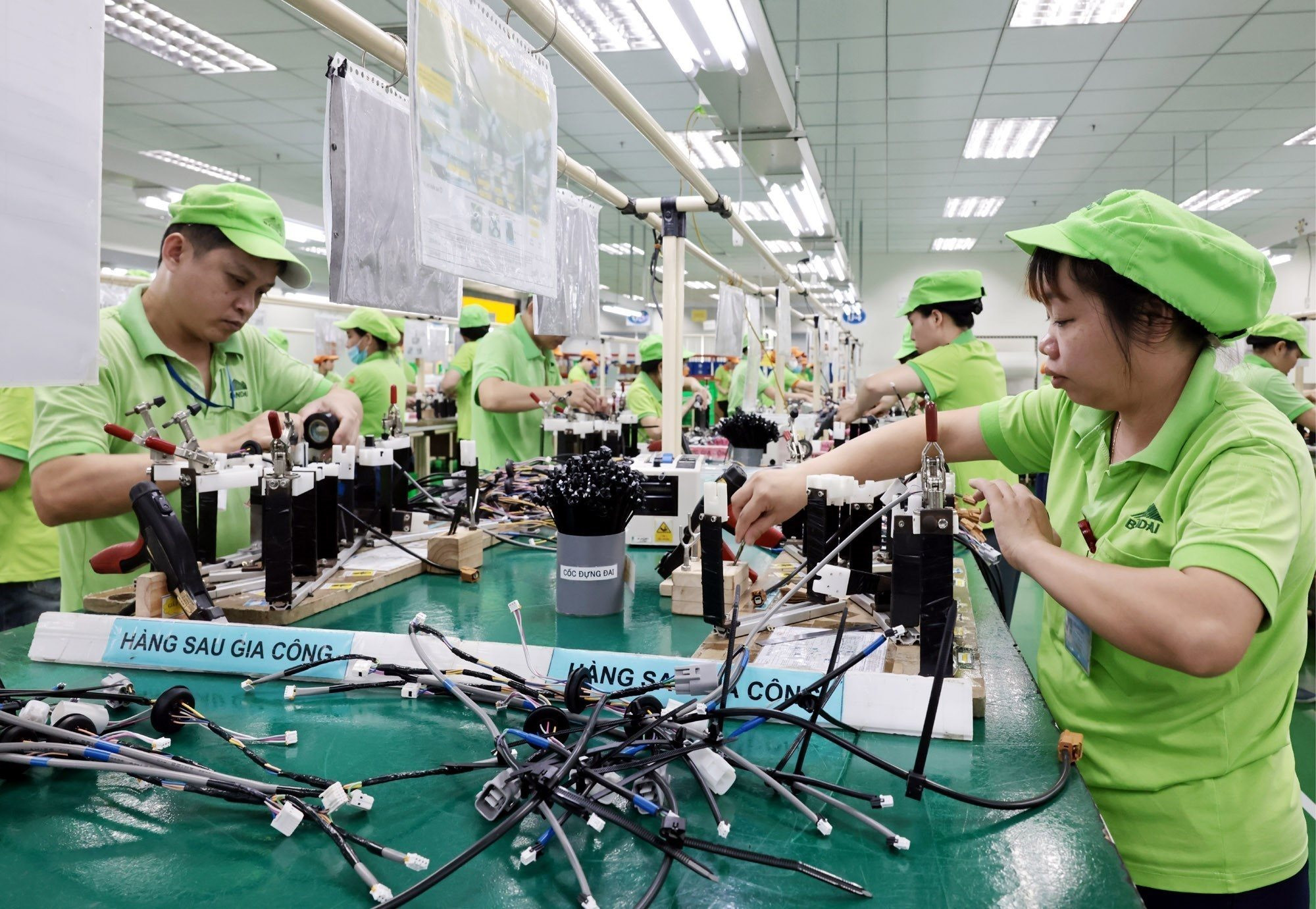 vna_potal_cong_ty_bandai_viet_nam_-_doanh_nghiep_fdi_tao_viec_lam_on_dinh_cho_gan_1000_lao_dong_8861895.jpg