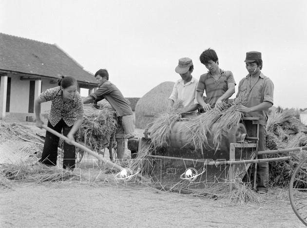 vna-potal-doi-moi-nam-1986-buoc-chuyen-quan-trong-trong-xay-dung-chu-nghia-xa-hoi-853634918-9-10-46.jpg