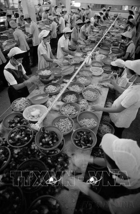 vna-potal-doi-moi-nam-1986-buoc-chuyen-quan-trong-trong-xay-dung-chu-nghia-xa-hoi-853635518-9-9-13.jpg