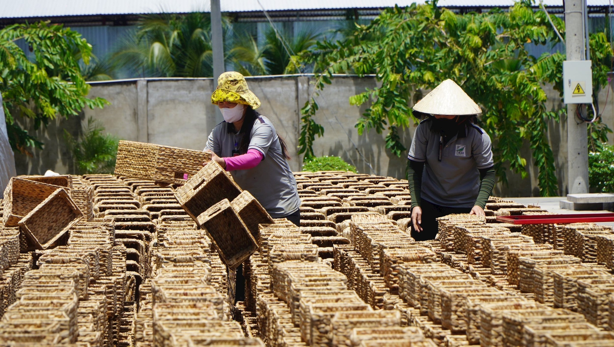 vna_potal_nhieu_doanh_nghiep_dong_thap_san_xuat_kinh_doanh_tu_nguon_tai_nguyen_ban_dia_8986297.jpg