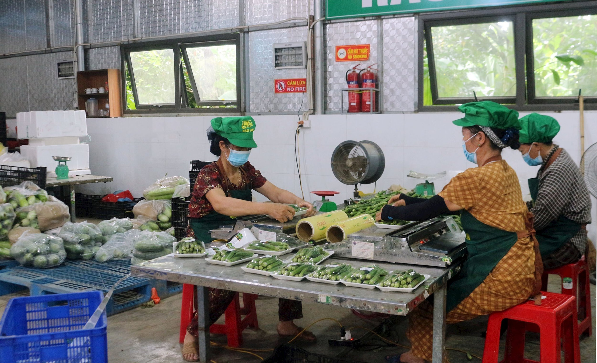 vna_potal_ninh_binh_lien_ket_san_xuat_nang_cao_gia_tri_nong_san_9012450.jpg