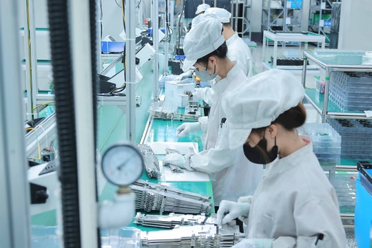 Kinh tế tư nhân: Kỳ vọng bứt phá và phát triển - Bài cuối