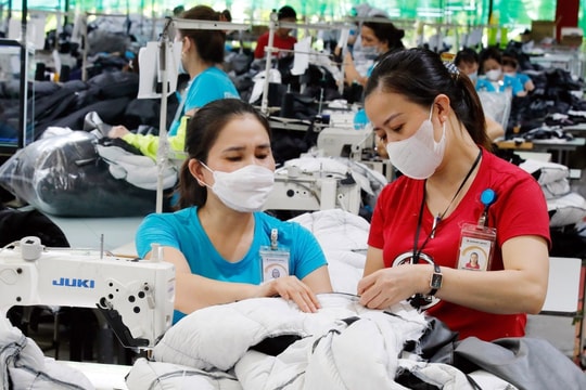 Bài 1: Từ bổ trợ đến vai trò dẫn dắt