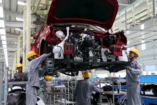 Bài 4: Vai trò dẫn dắt của “sếu đầu đàn”