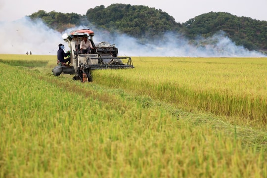 80 năm dựng xây và đổi mới -Bài cuối: Việt Nam - Kỳ tích kinh tế vươn tầm khu vực