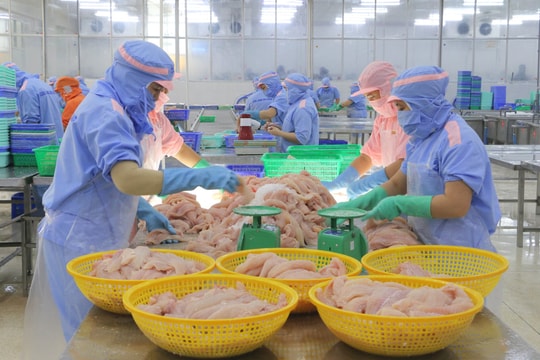 Hội nhập sâu, nội lực mạnh - Tận dụng FTA tạo xung lực mới cho tăng trưởng kinh tế