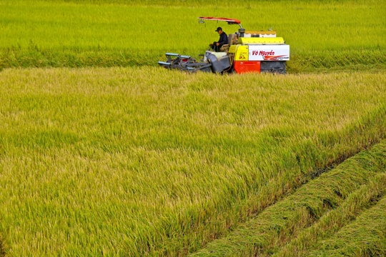 Bộ trưởng Trần Đức Thắng: Nông nghiệp xanh đã chuyển từ định hướng sang hành động thực chất