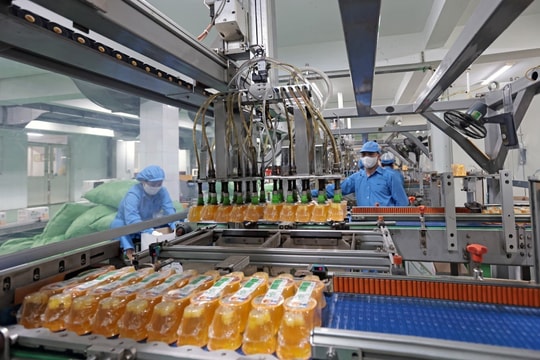 Tạo sức bật bền vững để kinh tế tư nhân bứt phá