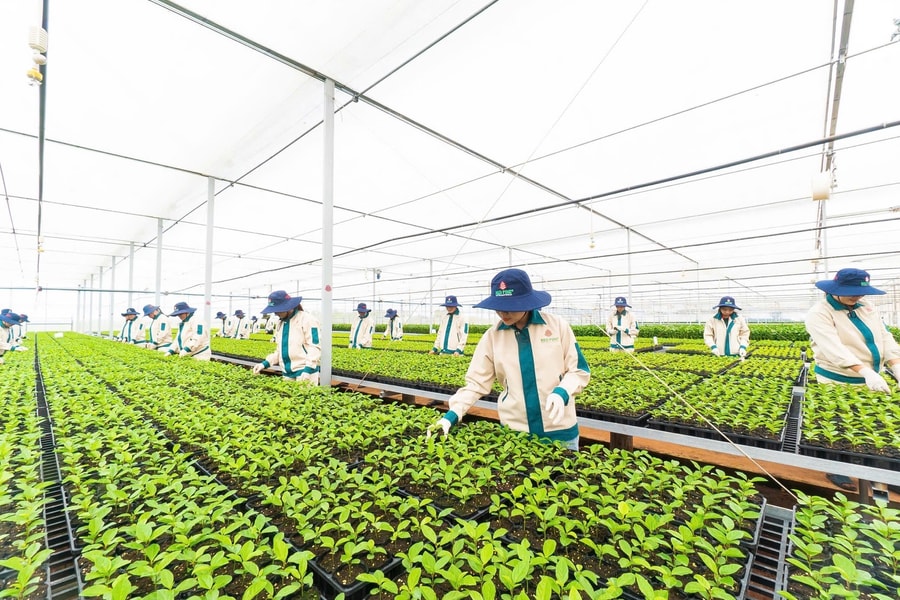 Nông nghiệp và môi trường trên hành trình kiến tạo kinh tế xanh